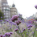 Prague